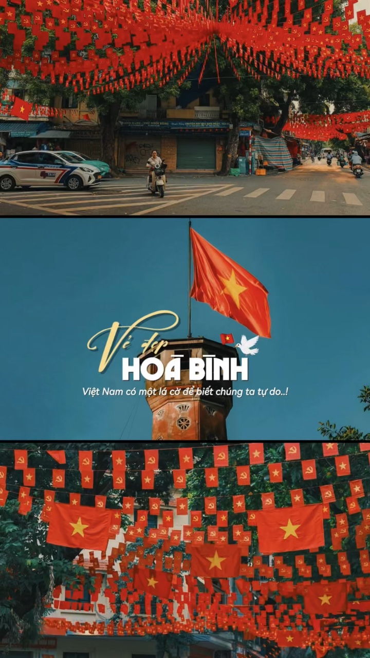Việt Nam có 1 lá cờ🇻🇳