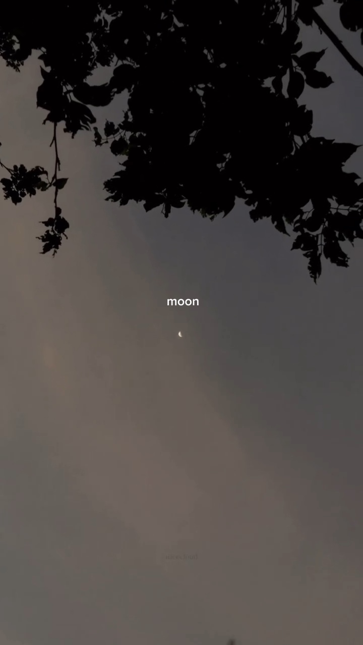 Hablando con la luna