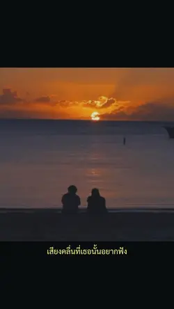 หาดทราย รอบกาย | 1:1