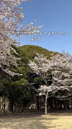 さくら~あなたに出会えてよかった~