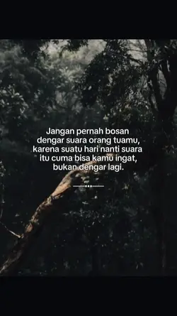 bahansw