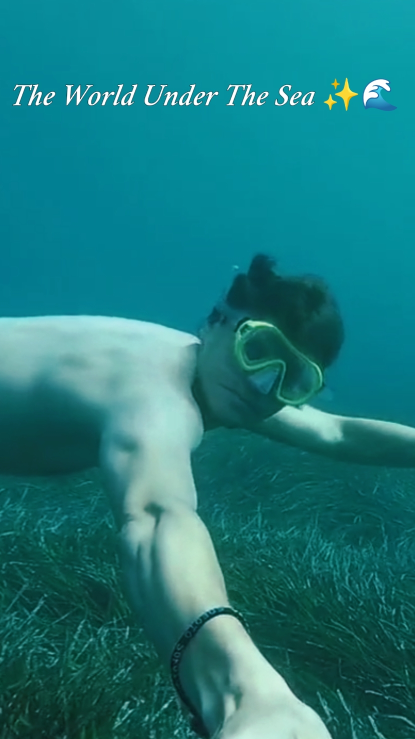 World Under The Sea
