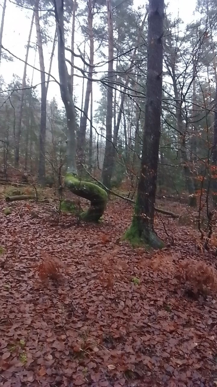 J’ai failli mourir😂💀