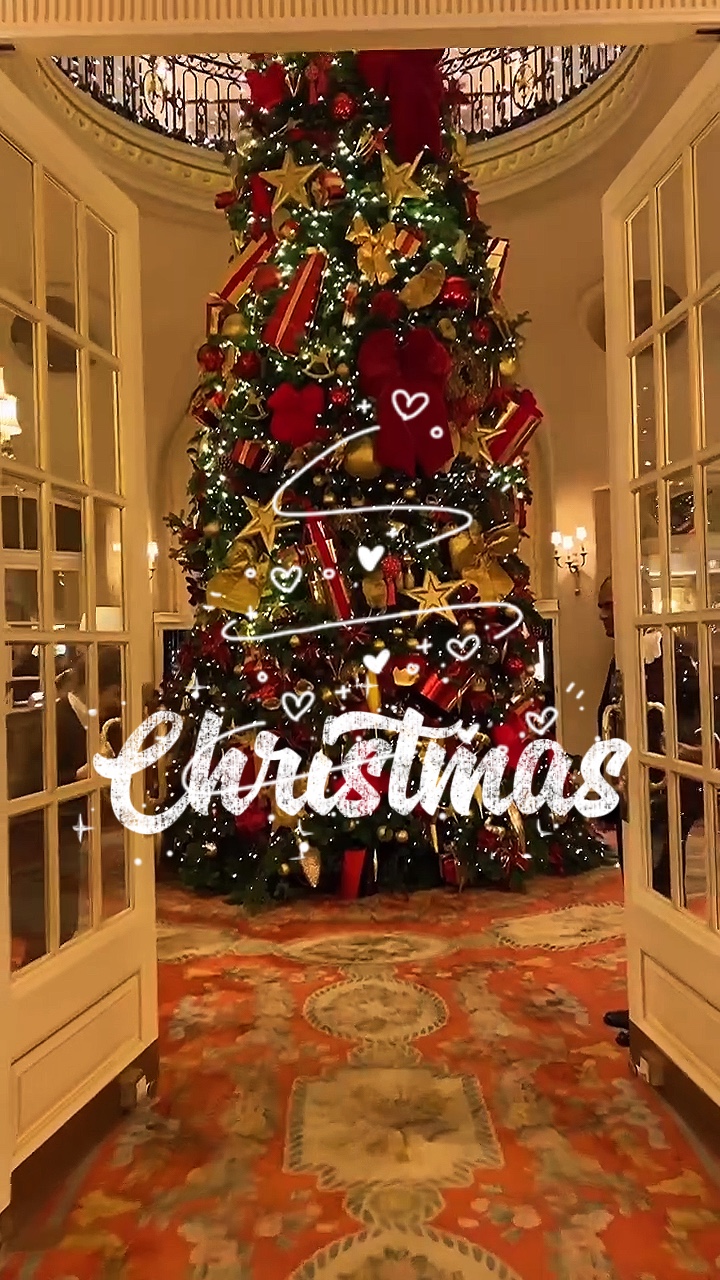 NAVIDAD🎄 