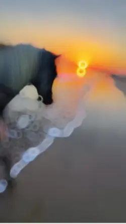 Slowmo