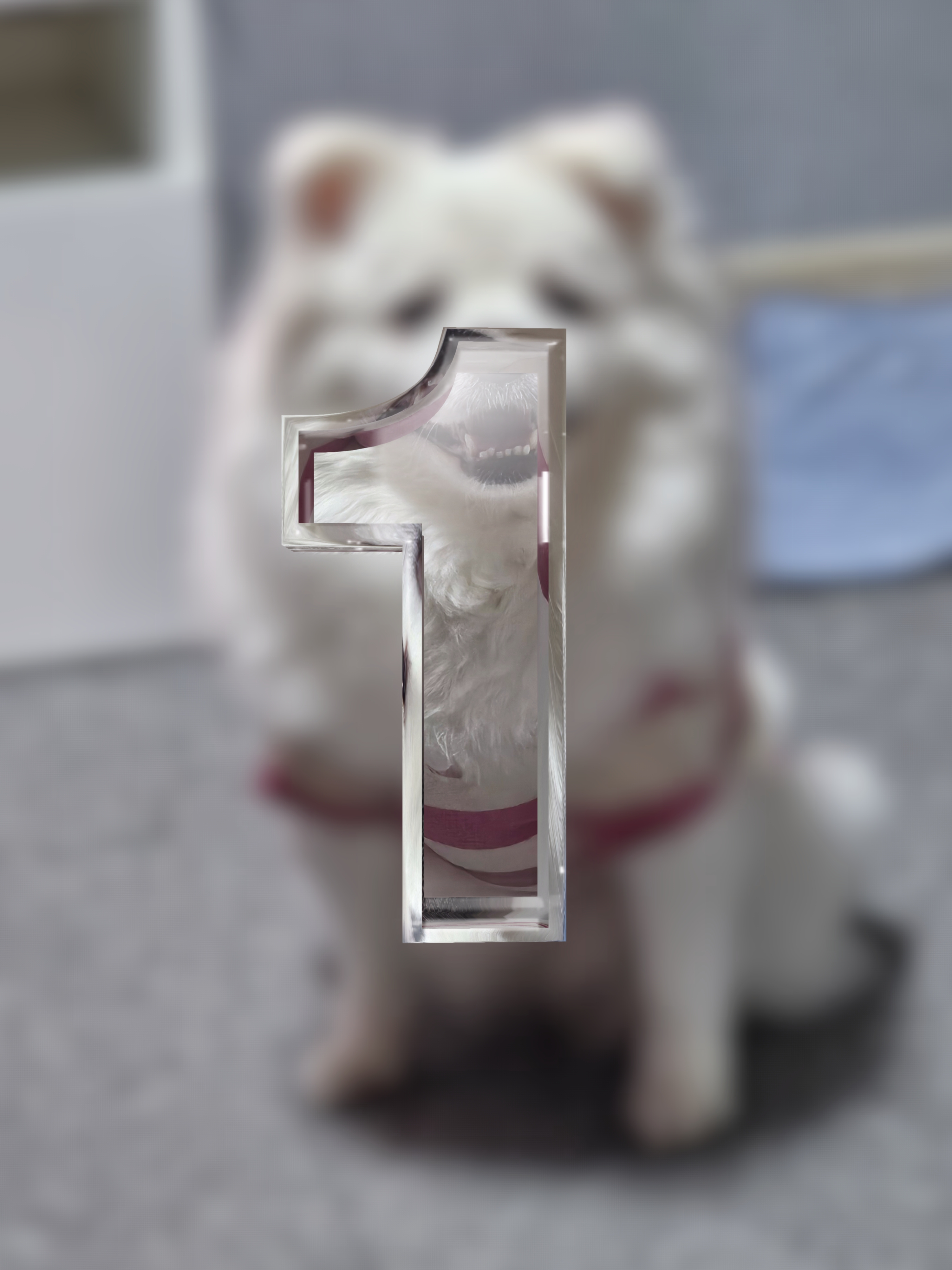 photo d'animal