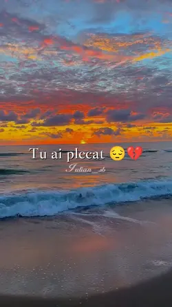 Tu ai plecat