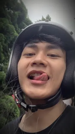 MeletusBalonHijauDor