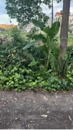 Chuyển cảnh mượt