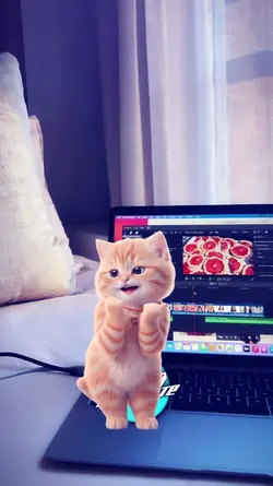 ise kebayang kucing