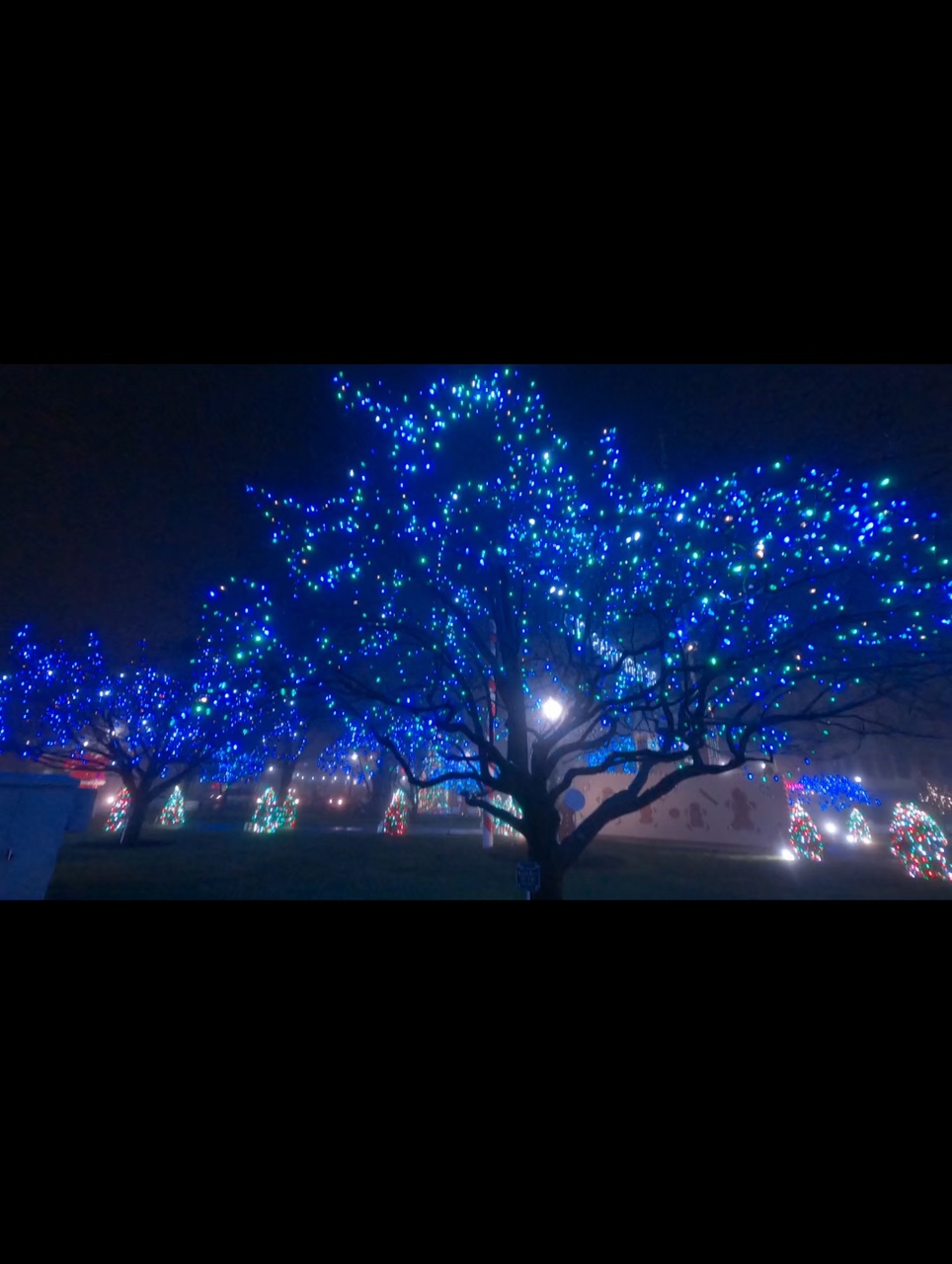 Weihnachtsbotschaft