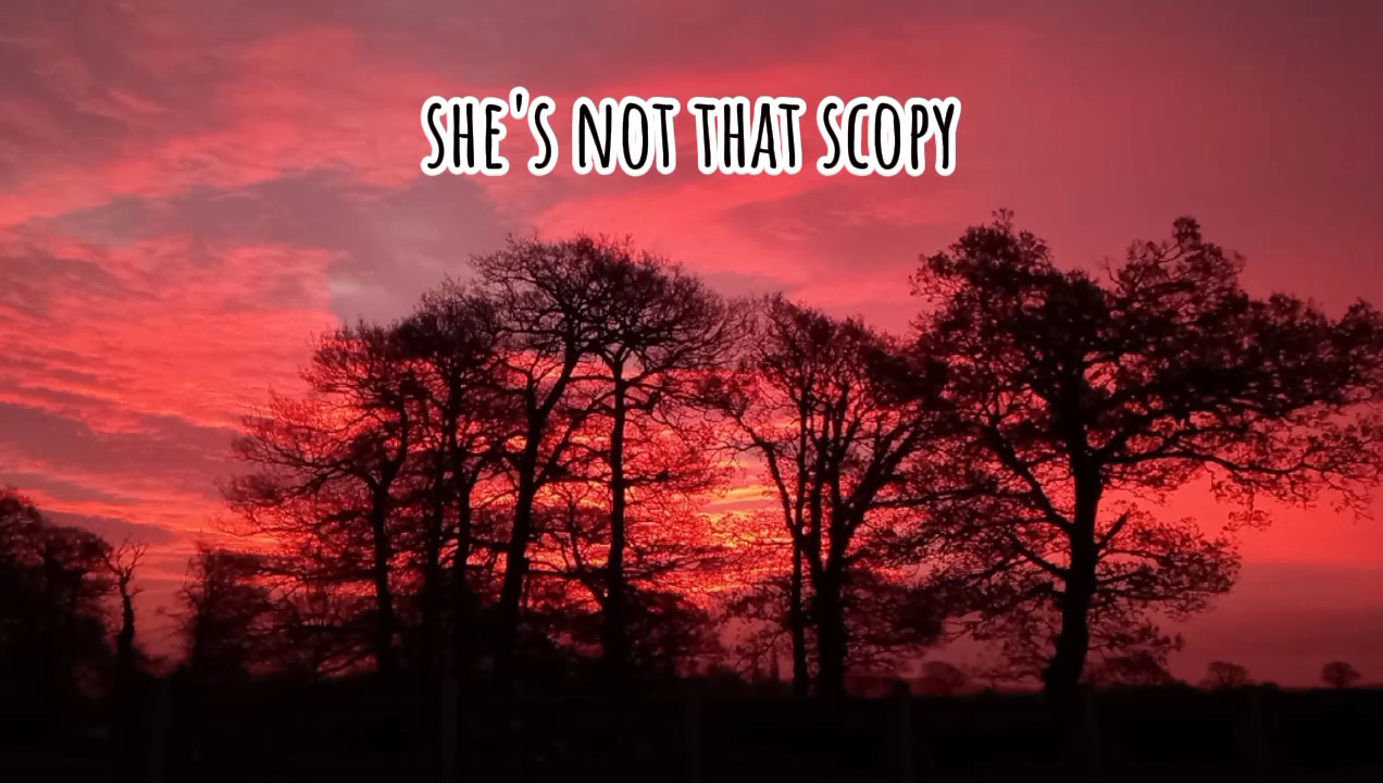 that jumps 1m aswell