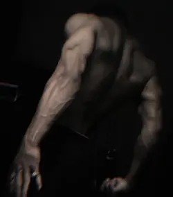 back muscle 