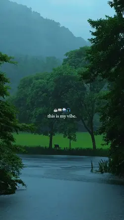 rainy vibes