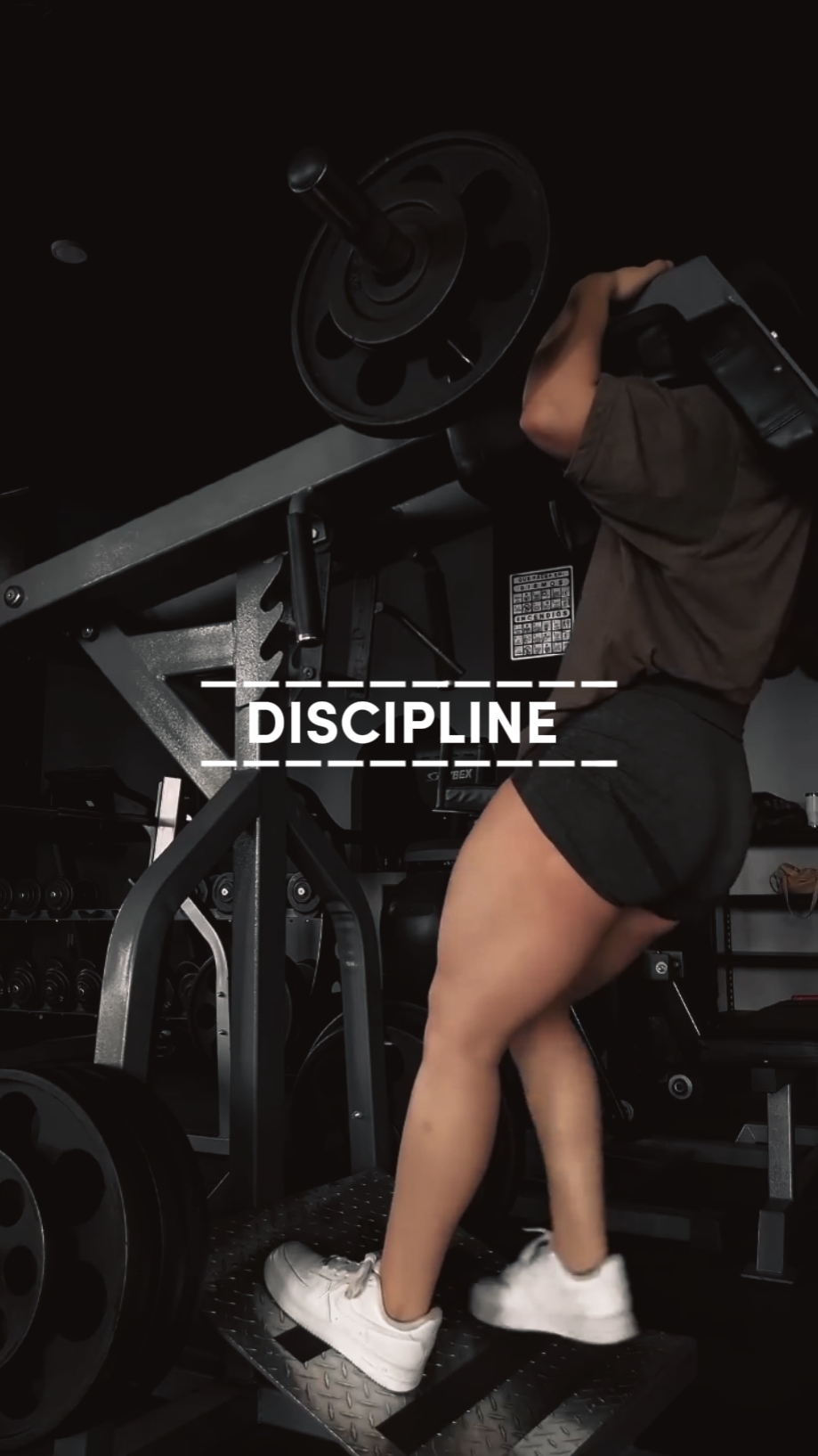 DISCIPLINA 