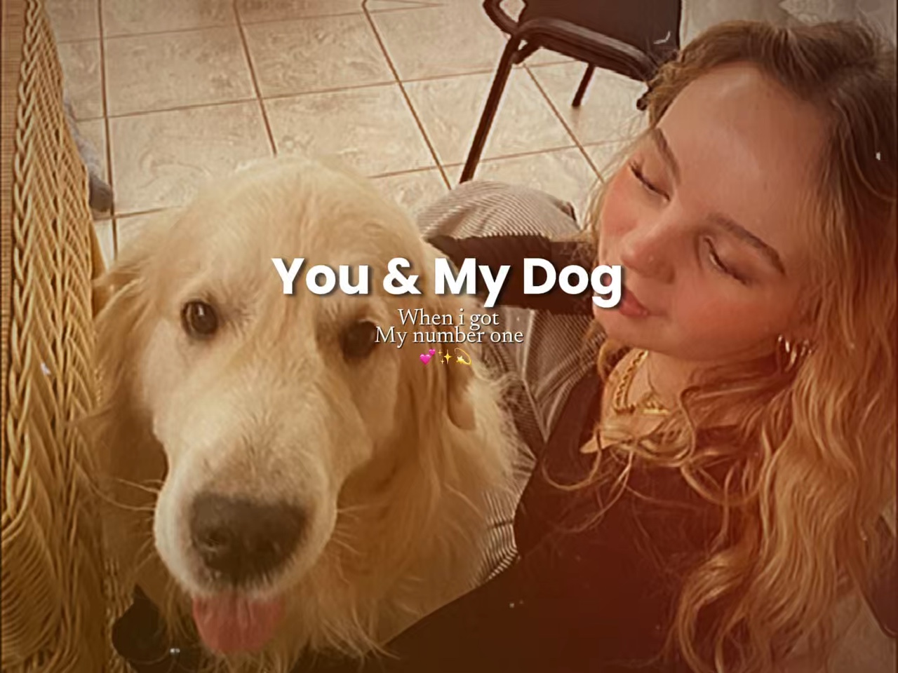 You and my dog 