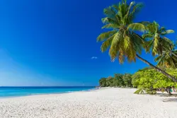 video ảnh trang sách