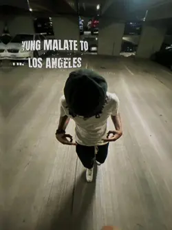 to los angeles