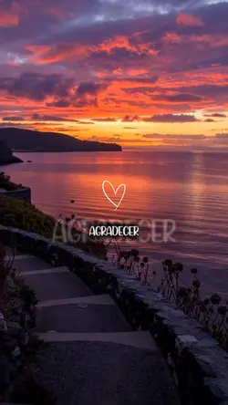 Agradeçer Sempre
