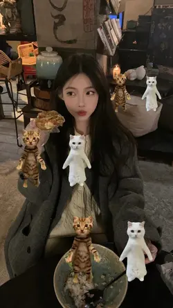 Dancing kitten