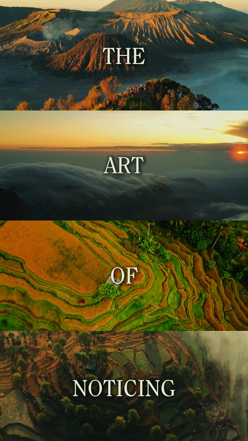 L'ART DE NOTER 