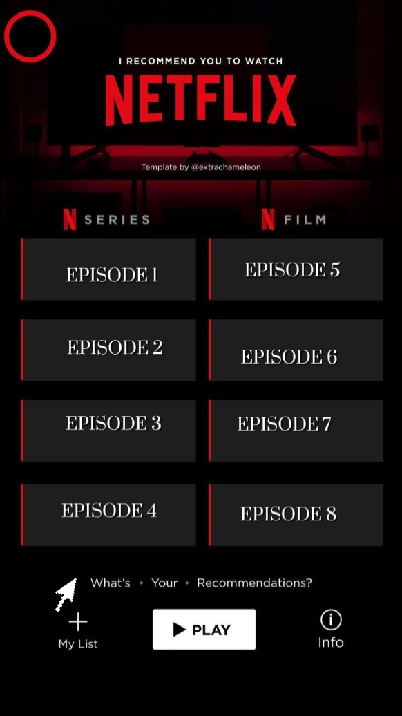 Netflix Interface 