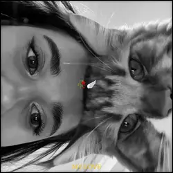 MOMENT