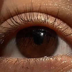 What do you think?