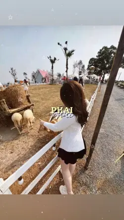 Mẫu 2 ảnh nhẹ nhàng