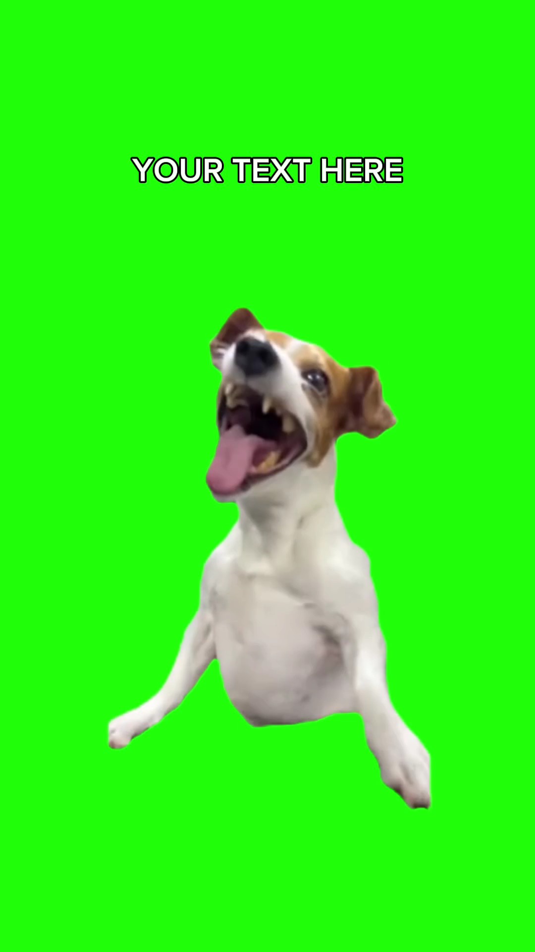 LACHENDER HUND MEME