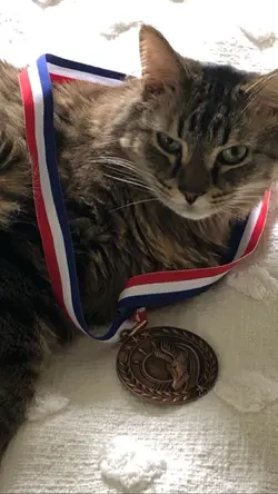 TES PHOTOS PRÉFÉRÉES