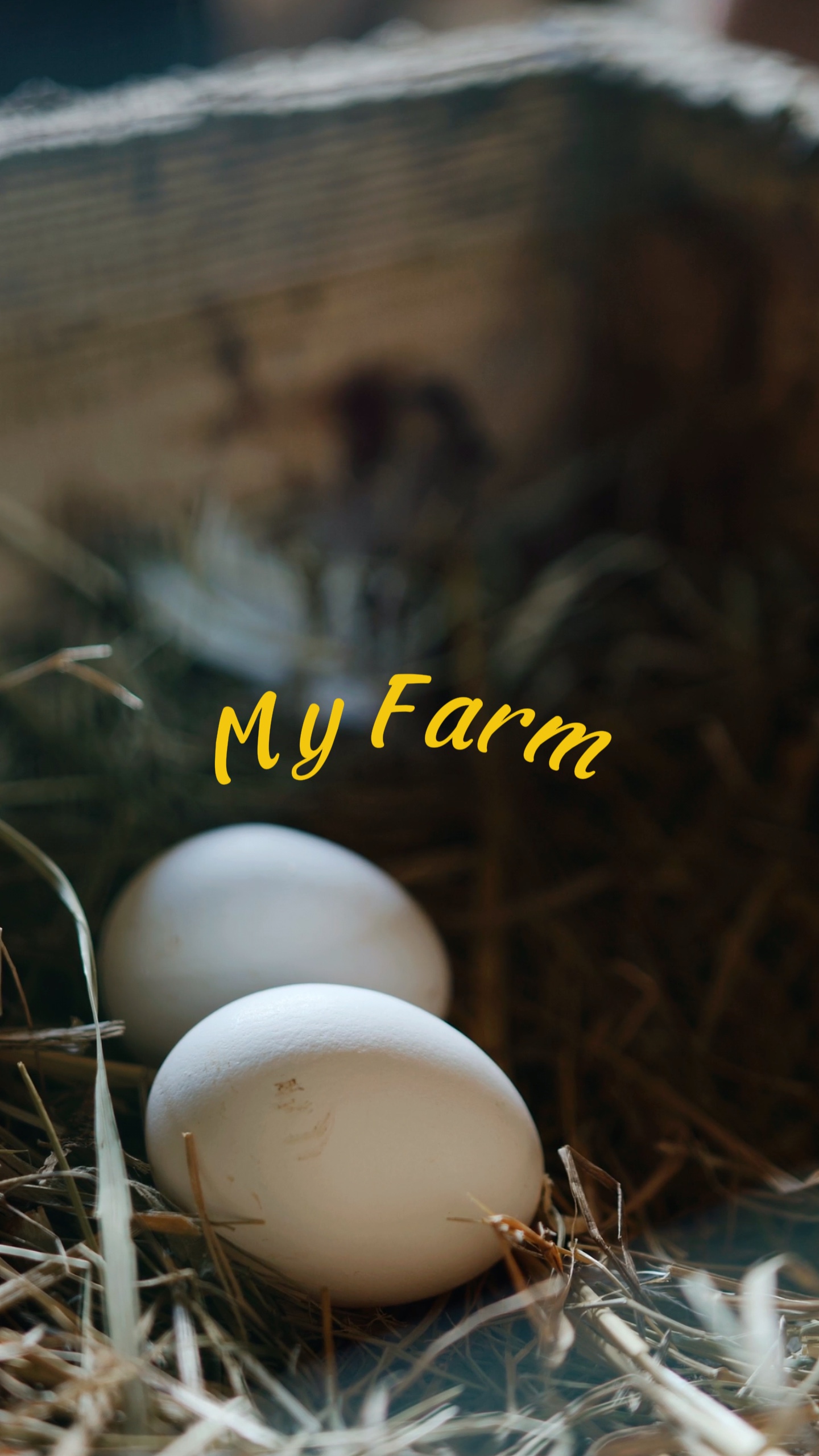 Minha Fazenda