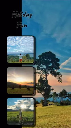 Grid/Frame Aesthetic