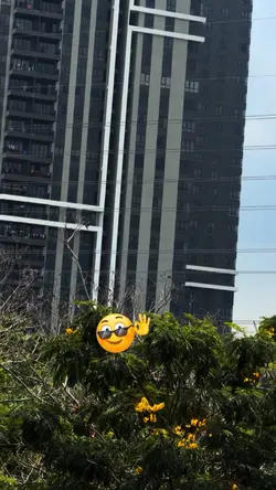 Storyig