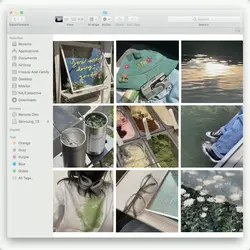 9 pics/videos 