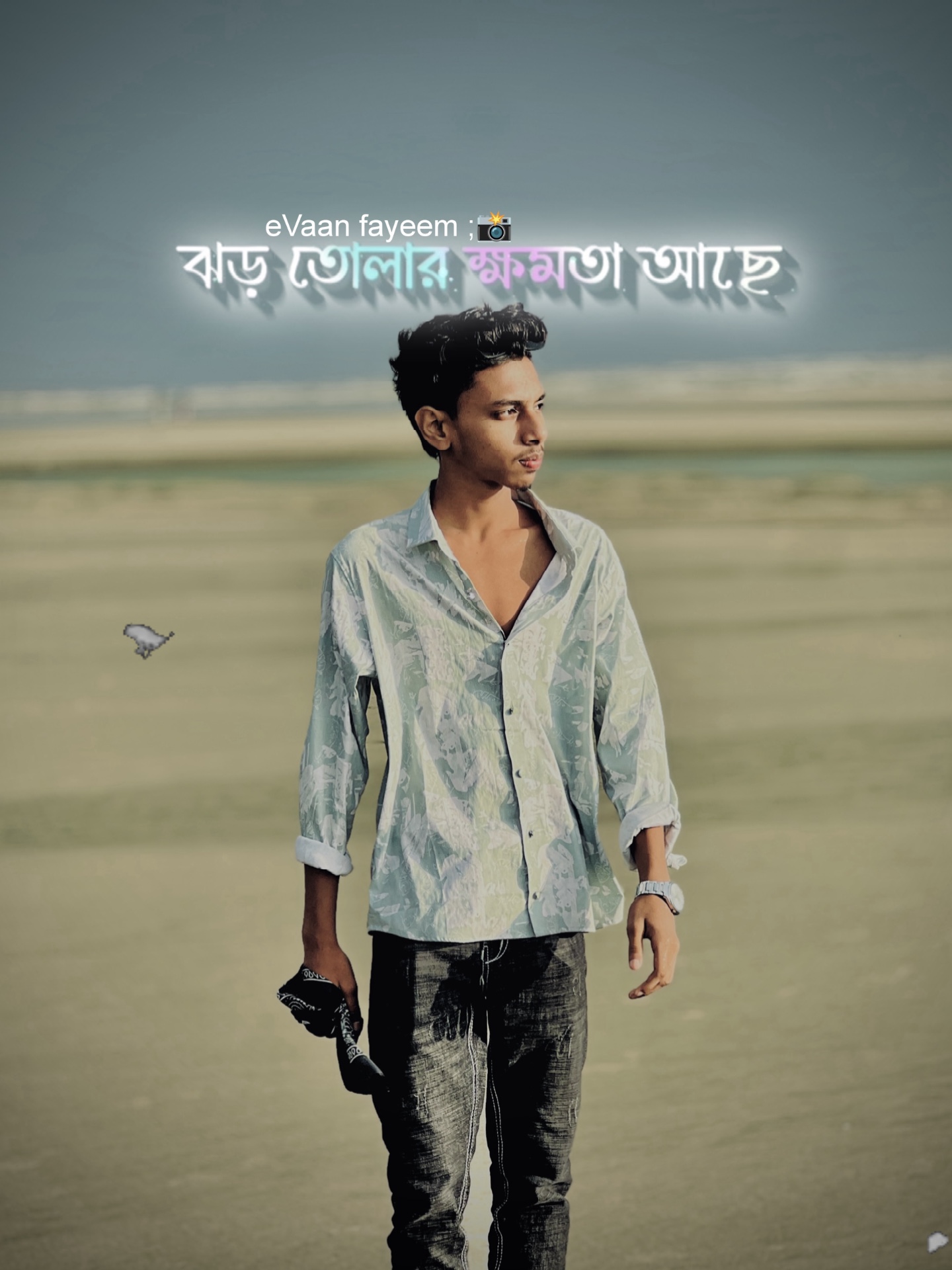 Cover Picture
