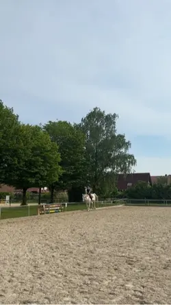 Reiten