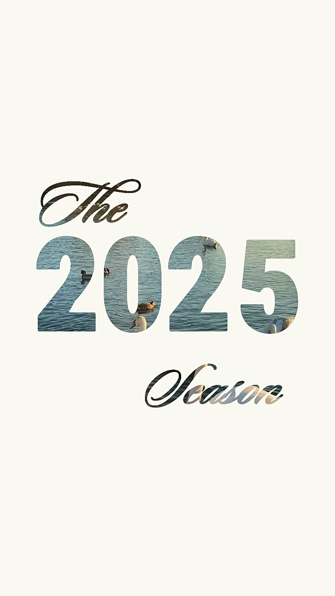 2025 시즌