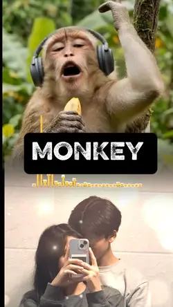 3-14 SINGING MONK