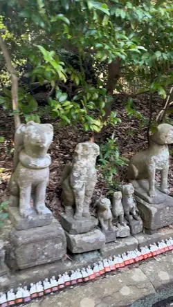 旅行写真はこれにまとめて