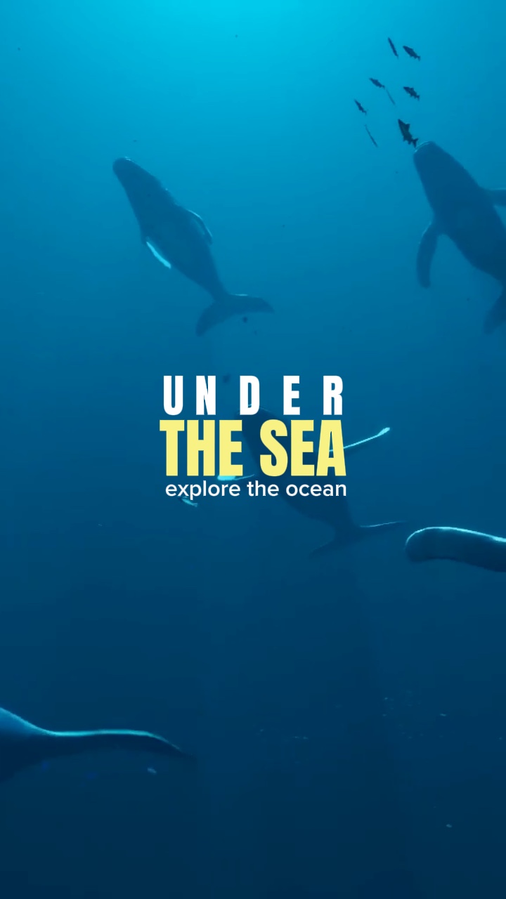 Explore the ocean