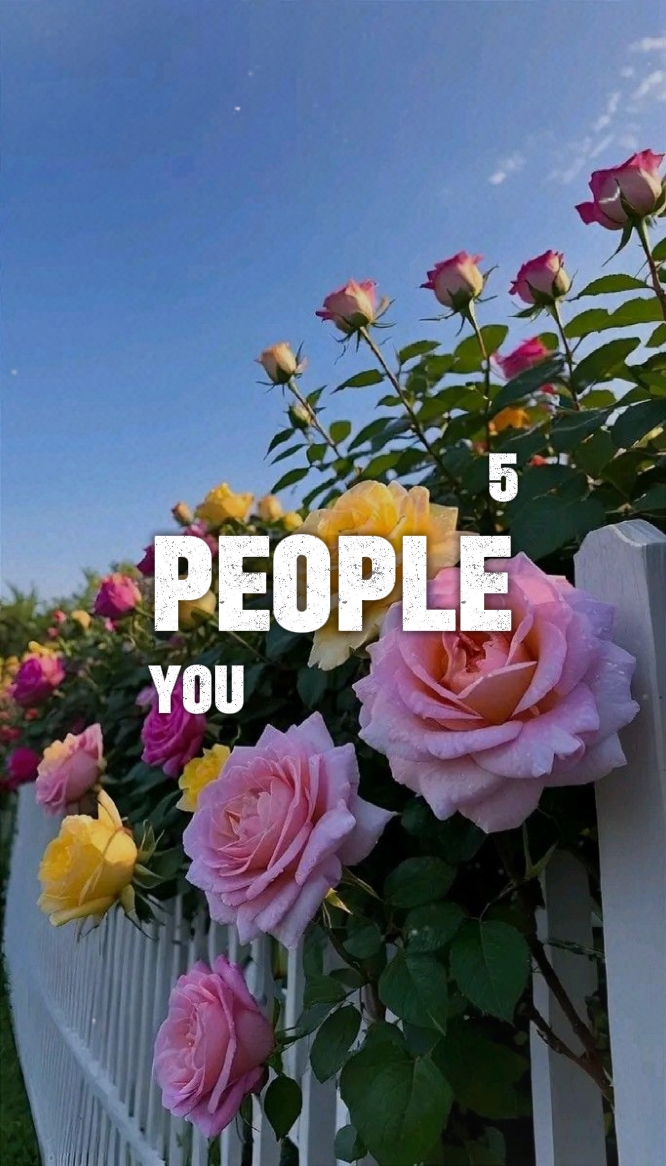 5 people you 