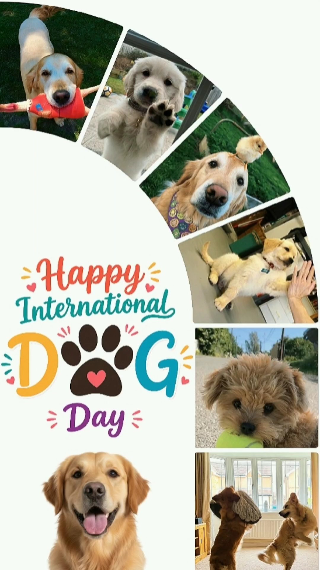 happy dog day