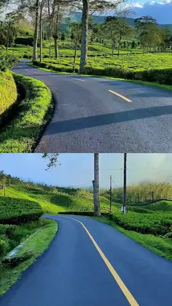 collage 2 video