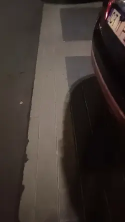 Sa fugim...