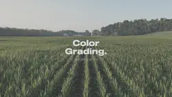 Color grading