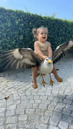 riding a bird