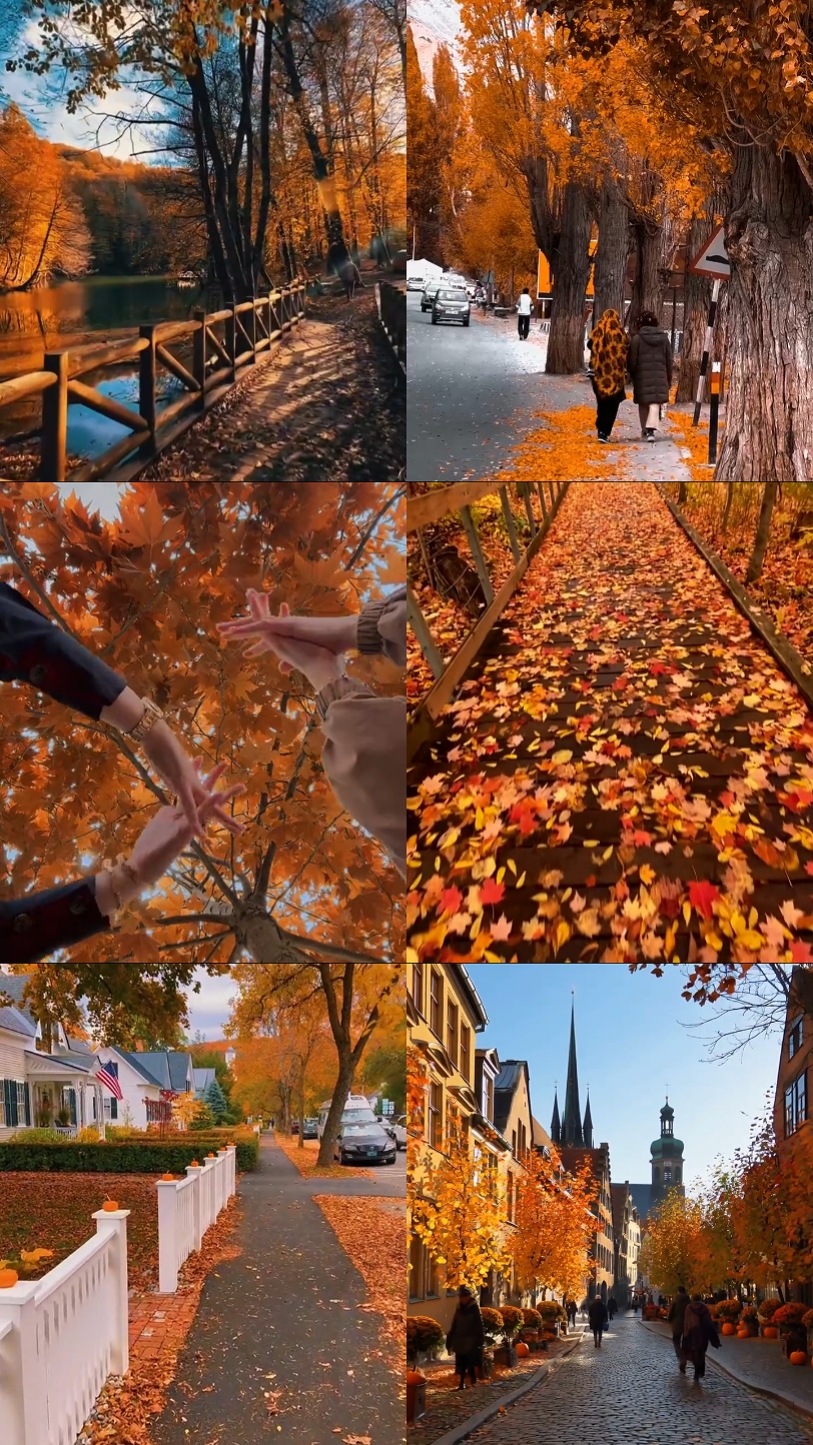 Herbstblätter
