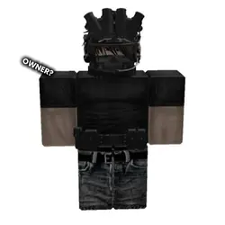ROBLOX OWNER