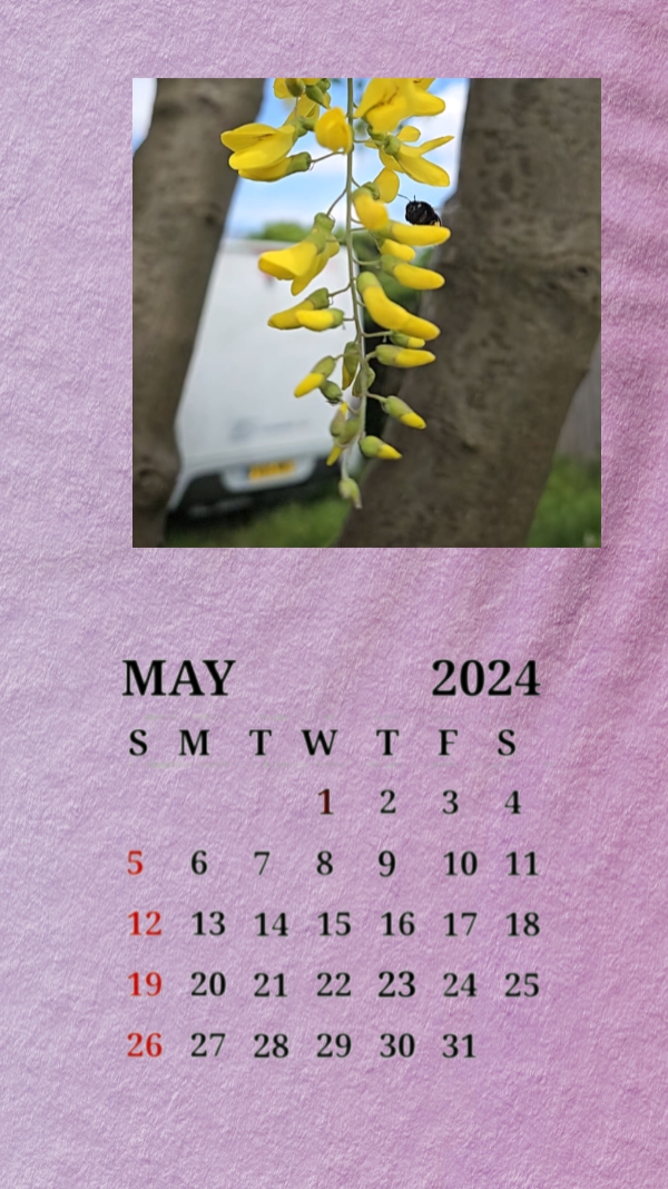 Calendario de mayo 